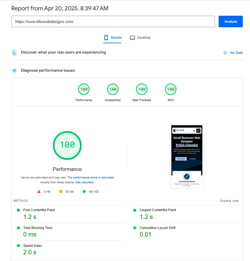Core Web Vitals report.